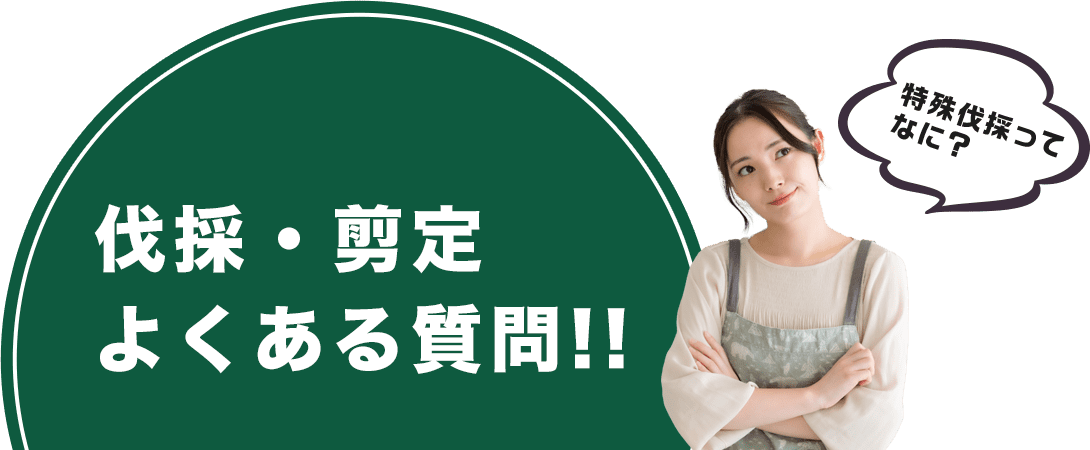 伐採・剪定よくある質問