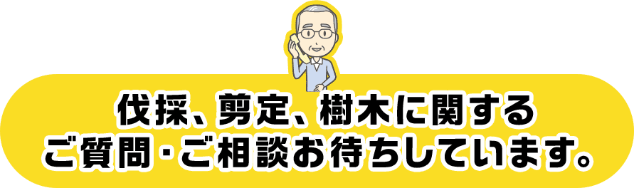 伐採、剪定、樹木に関するご質問・ご相談お待ちしています。