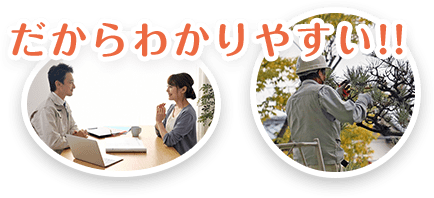 だからわかりやすい!!