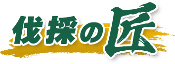 静岡・伊豆エリアの伐採・剪定・草刈は【伐採の匠】にお任せください！