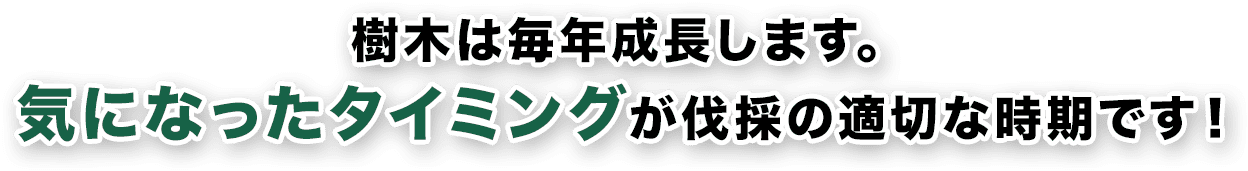 樹木は毎年成長します。気になったタイミングが伐採の適切な時期です！