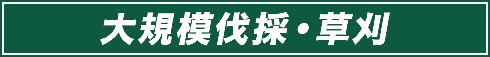 大規模伐採・草刈