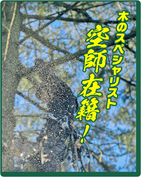 木のスペシャリスト空師在籍！