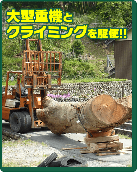 大型重機とクライミングを駆使!!