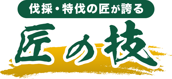 伐採・特伐の匠が誇る匠の技