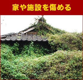 家や施設を傷める
