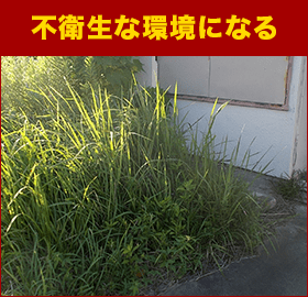 不衛生な環境になる