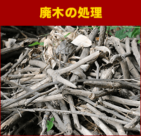 廃木の処理